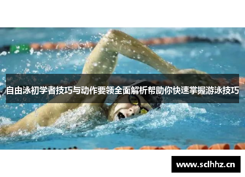 自由泳初学者技巧与动作要领全面解析帮助你快速掌握游泳技巧