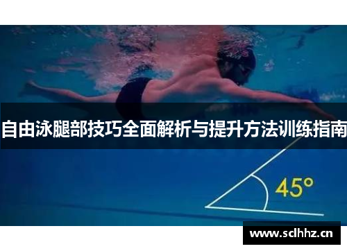 自由泳腿部技巧全面解析与提升方法训练指南