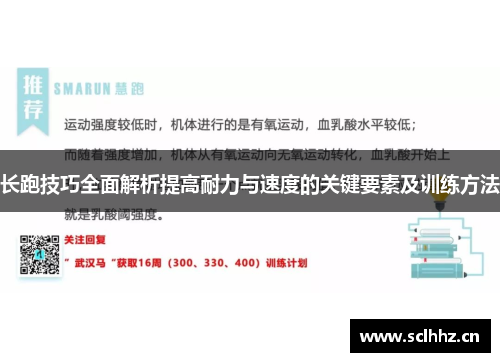 长跑技巧全面解析提高耐力与速度的关键要素及训练方法